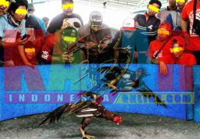 POLISI tidak tahu LOH, ada ARENA untuk JUDI SABUNG AYAM, DADU KOPROK dan CAP CIKI di dusun JETAK desa PUGERAN kecamatan GONDANG