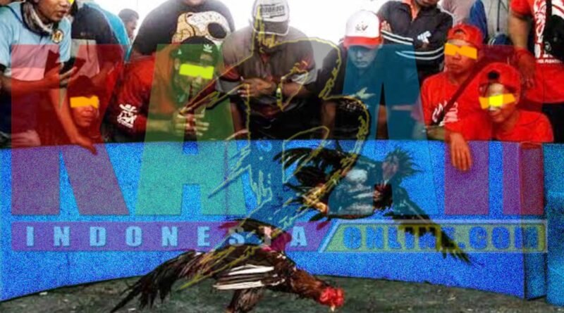 POLISI tidak tahu LOH, ada ARENA untuk JUDI SABUNG AYAM, DADU KOPROK dan CAP CIKI di dusun JETAK desa PUGERAN kecamatan GONDANG