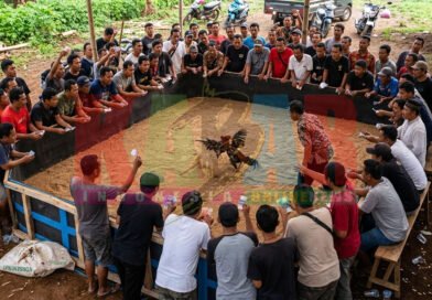 FENOMENA langkah namun UNIK dalam jeratan UPETI JUDI sabung ayam bagi para PENEGAK HUKUM di BLITAR, simak KEUNIKANNYA di sini