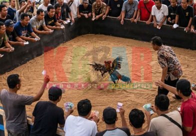seolah tak SUNGKAN BLAS dengan POLRES BLITAR mereka ini, ajang PERJUDIAN sabung ayam di dusun KEMLOKO desa SIDODI kecamatan GARUM semakin MENGGELIAT