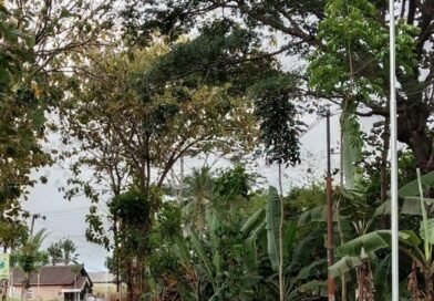 PemKab MALANG Pasang PJU Desa SAWAHAN Kecamatan TUREN Demi Tingkatkan KENYAMANAN dan KEAMANAN di Malam Hari